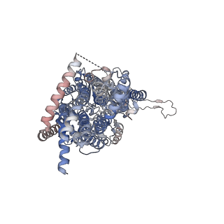 22870_7kgh_B_v1-1
Cryo-EM Structures of AdeB from Acinetobacter baumannii: AdeB-ET-II