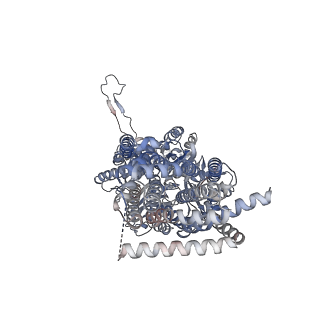 22870_7kgh_C_v1-0
Cryo-EM Structures of AdeB from Acinetobacter baumannii: AdeB-ET-II
