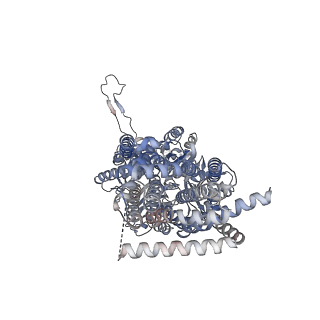 22870_7kgh_C_v1-1
Cryo-EM Structures of AdeB from Acinetobacter baumannii: AdeB-ET-II