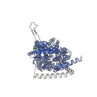 22871_7kgi_C_v1-0
Cryo-EM Structures of AdeB from Acinetobacter baumannii: AdeB-ET-III