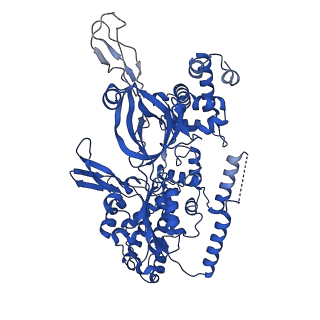 37211_8kg6_2_v1-0
Yeast replisome in state I