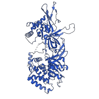 37211_8kg6_3_v1-0
Yeast replisome in state I