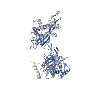 37211_8kg6_4_v1-0
Yeast replisome in state I