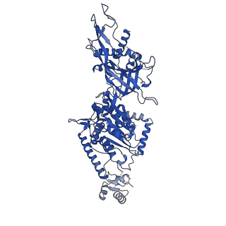 37211_8kg6_5_v1-0
Yeast replisome in state I