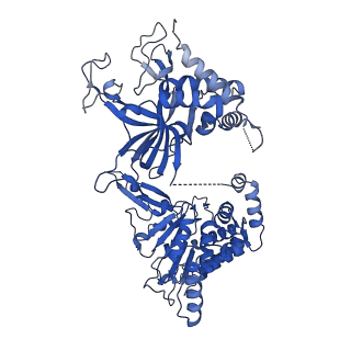 37211_8kg6_6_v1-0
Yeast replisome in state I