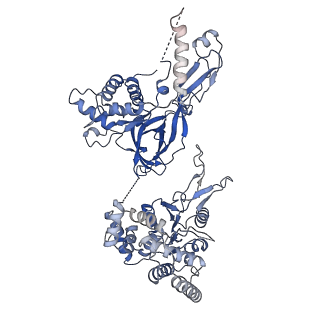 37211_8kg6_7_v1-0
Yeast replisome in state I