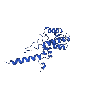 37211_8kg6_B_v1-0
Yeast replisome in state I