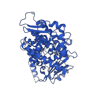 37211_8kg6_E_v1-0
Yeast replisome in state I