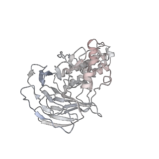 37211_8kg6_G_v1-0
Yeast replisome in state I