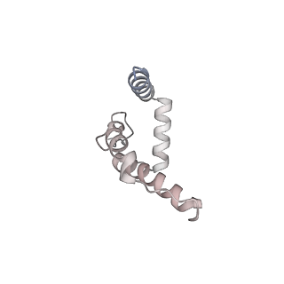 37211_8kg6_L_v1-0
Yeast replisome in state I
