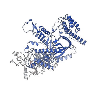 37211_8kg6_M_v1-0
Yeast replisome in state I
