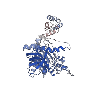 37211_8kg6_N_v1-0
Yeast replisome in state I