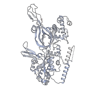 37213_8kg8_2_v1-0
Yeast replisome in state II