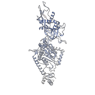 37213_8kg8_5_v1-0
Yeast replisome in state II