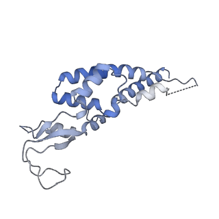 37213_8kg8_C_v1-0
Yeast replisome in state II
