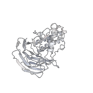 37213_8kg8_G_v1-0
Yeast replisome in state II