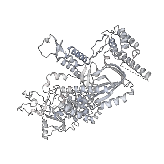 37213_8kg8_M_v1-0
Yeast replisome in state II