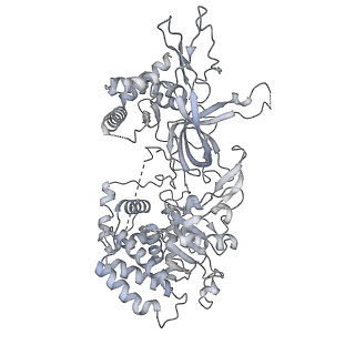37215_8kg9_3_v1-0
Yeast replisome in state III