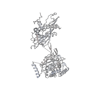 37215_8kg9_4_v1-0
Yeast replisome in state III