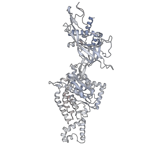37215_8kg9_5_v1-0
Yeast replisome in state III