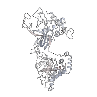 37215_8kg9_6_v1-0
Yeast replisome in state III