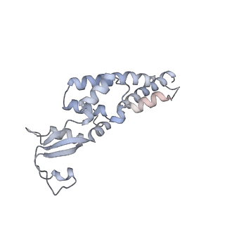 37215_8kg9_C_v1-0
Yeast replisome in state III