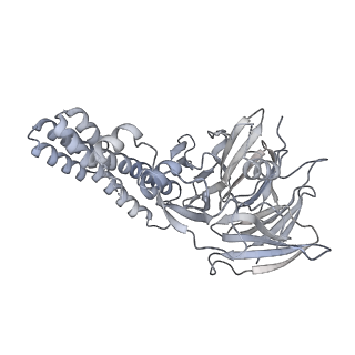 37215_8kg9_F_v1-0
Yeast replisome in state III