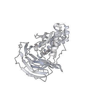 37215_8kg9_G_v1-0
Yeast replisome in state III
