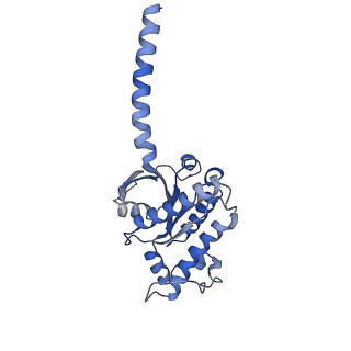 37224_8kgk_B_v1-0
Cryo-EM structure of the GPR61-Gs complex