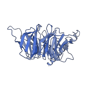 37224_8kgk_C_v1-0
Cryo-EM structure of the GPR61-Gs complex
