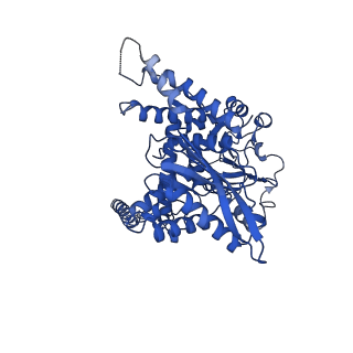 37235_8kgy_A_v1-1
Human glutamate dehydrogenase I