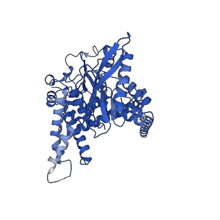 37235_8kgy_B_v1-1
Human glutamate dehydrogenase I