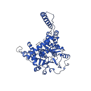 37235_8kgy_C_v1-1
Human glutamate dehydrogenase I