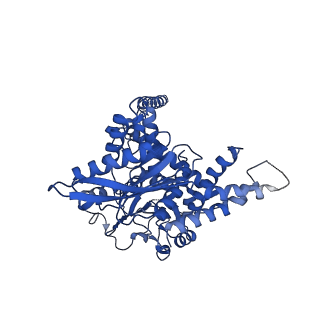 37235_8kgy_F_v1-1
Human glutamate dehydrogenase I