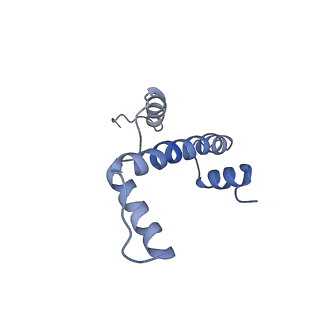 8246_5kgf_E_v1-5
Structural model of 53BP1 bound to a ubiquitylated and methylated nucleosome, at 4.5 A resolution