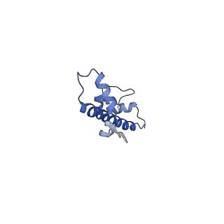 8246_5kgf_G_v1-5
Structural model of 53BP1 bound to a ubiquitylated and methylated nucleosome, at 4.5 A resolution