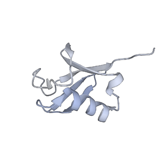 8246_5kgf_O_v1-5
Structural model of 53BP1 bound to a ubiquitylated and methylated nucleosome, at 4.5 A resolution