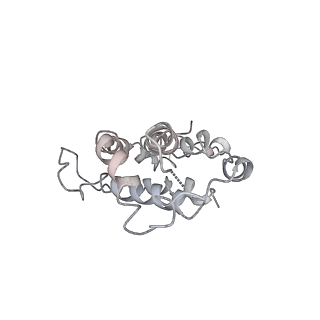 9976_6kgx_11_v1-1
Structure of the phycobilisome from the red alga Porphyridium purpureum