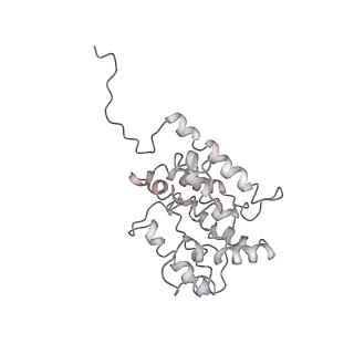 9976_6kgx_21_v1-1
Structure of the phycobilisome from the red alga Porphyridium purpureum