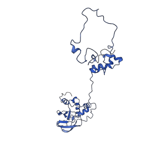 9976_6kgx_31_v1-1
Structure of the phycobilisome from the red alga Porphyridium purpureum