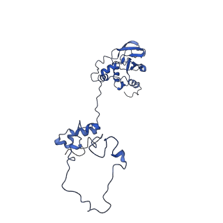 9976_6kgx_34_v1-1
Structure of the phycobilisome from the red alga Porphyridium purpureum
