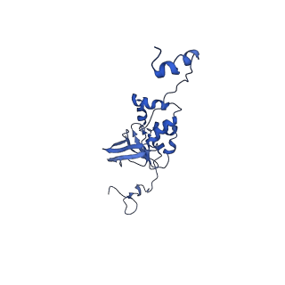 9976_6kgx_4H_v1-1
Structure of the phycobilisome from the red alga Porphyridium purpureum