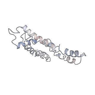 9976_6kgx_A1_v1-1
Structure of the phycobilisome from the red alga Porphyridium purpureum