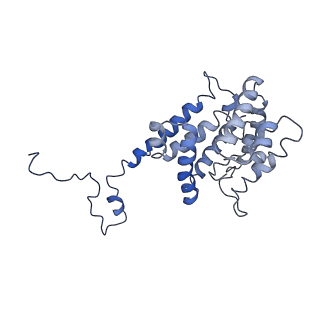 9976_6kgx_A2_v1-1
Structure of the phycobilisome from the red alga Porphyridium purpureum