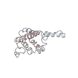 9976_6kgx_A3_v1-1
Structure of the phycobilisome from the red alga Porphyridium purpureum