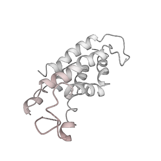 9976_6kgx_A5_v1-1
Structure of the phycobilisome from the red alga Porphyridium purpureum