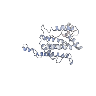 9976_6kgx_A6_v1-1
Structure of the phycobilisome from the red alga Porphyridium purpureum