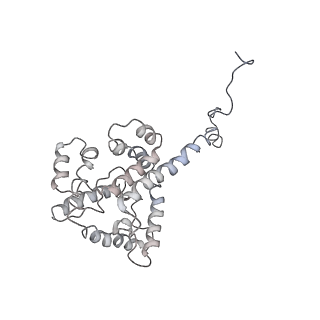 9976_6kgx_A7_v1-1
Structure of the phycobilisome from the red alga Porphyridium purpureum