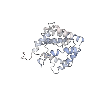 9976_6kgx_A8_v1-1
Structure of the phycobilisome from the red alga Porphyridium purpureum