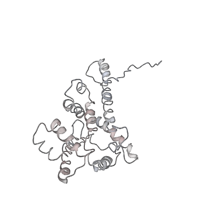 9976_6kgx_A9_v1-1
Structure of the phycobilisome from the red alga Porphyridium purpureum